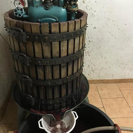 Agriturismo Il Melo Valfabbrica المظهر الخارجي الصورة