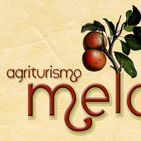Agriturismo Il Melo Valfabbrica المظهر الخارجي الصورة