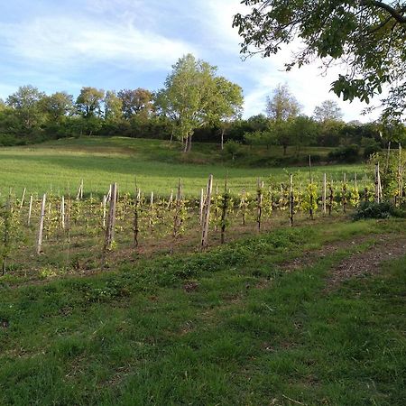Agriturismo Il Melo Valfabbrica المظهر الخارجي الصورة