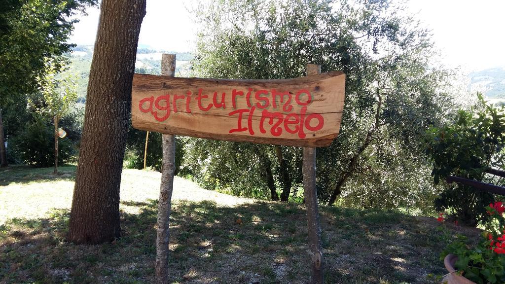 Agriturismo Il Melo Valfabbrica المظهر الخارجي الصورة