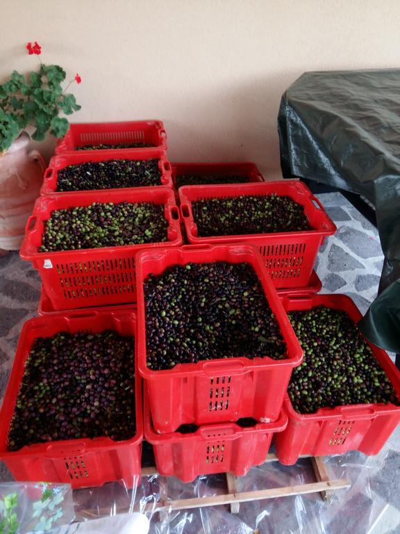 Agriturismo Il Melo Valfabbrica المظهر الخارجي الصورة