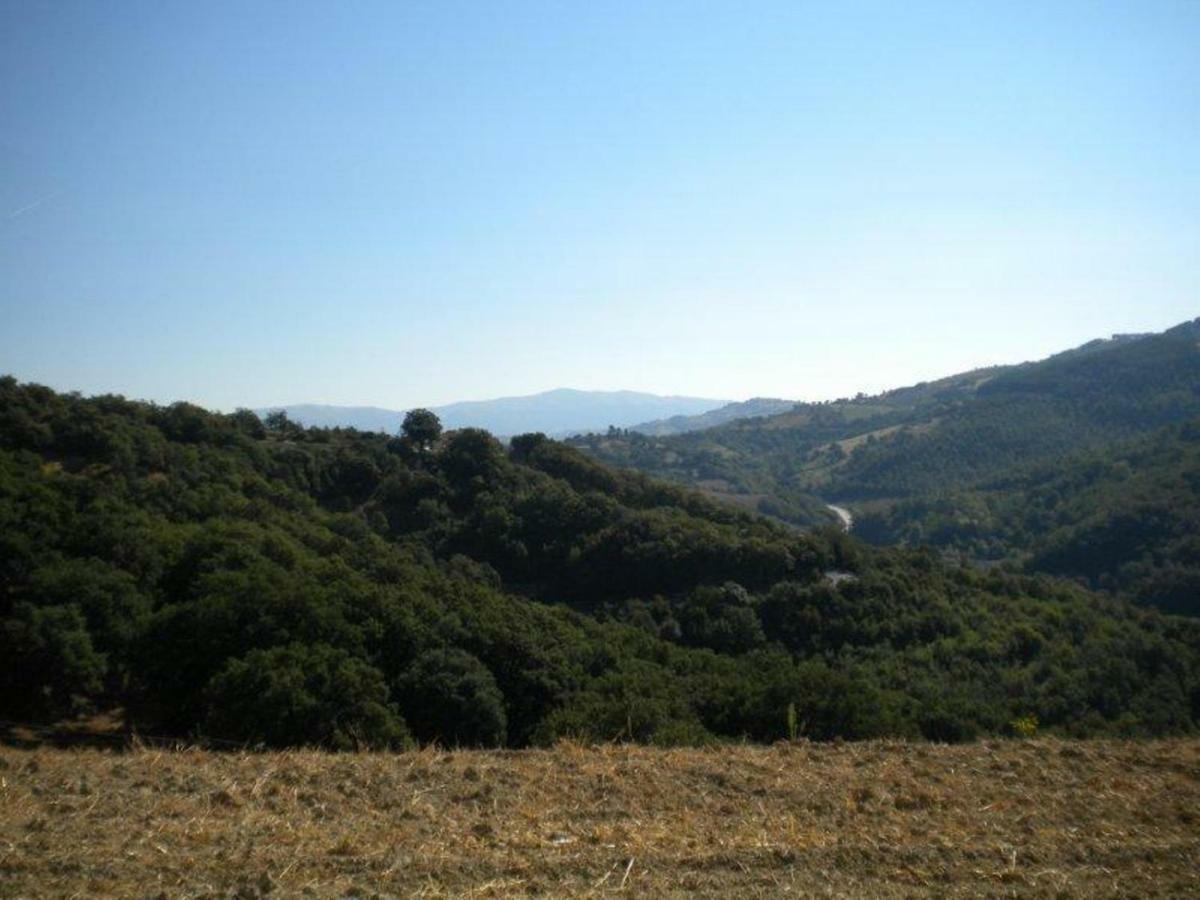 Agriturismo Il Melo Valfabbrica المظهر الخارجي الصورة