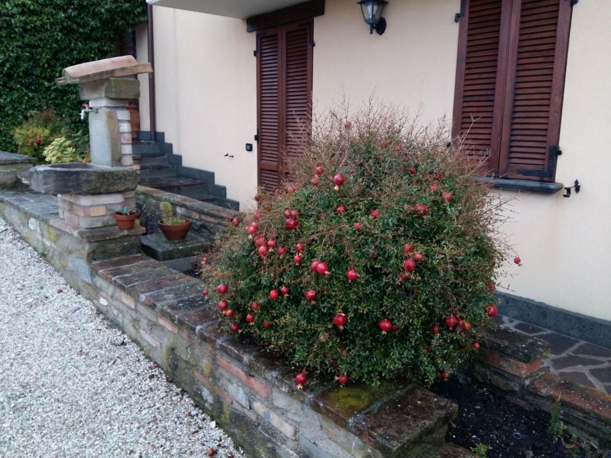 Agriturismo Il Melo Valfabbrica المظهر الخارجي الصورة