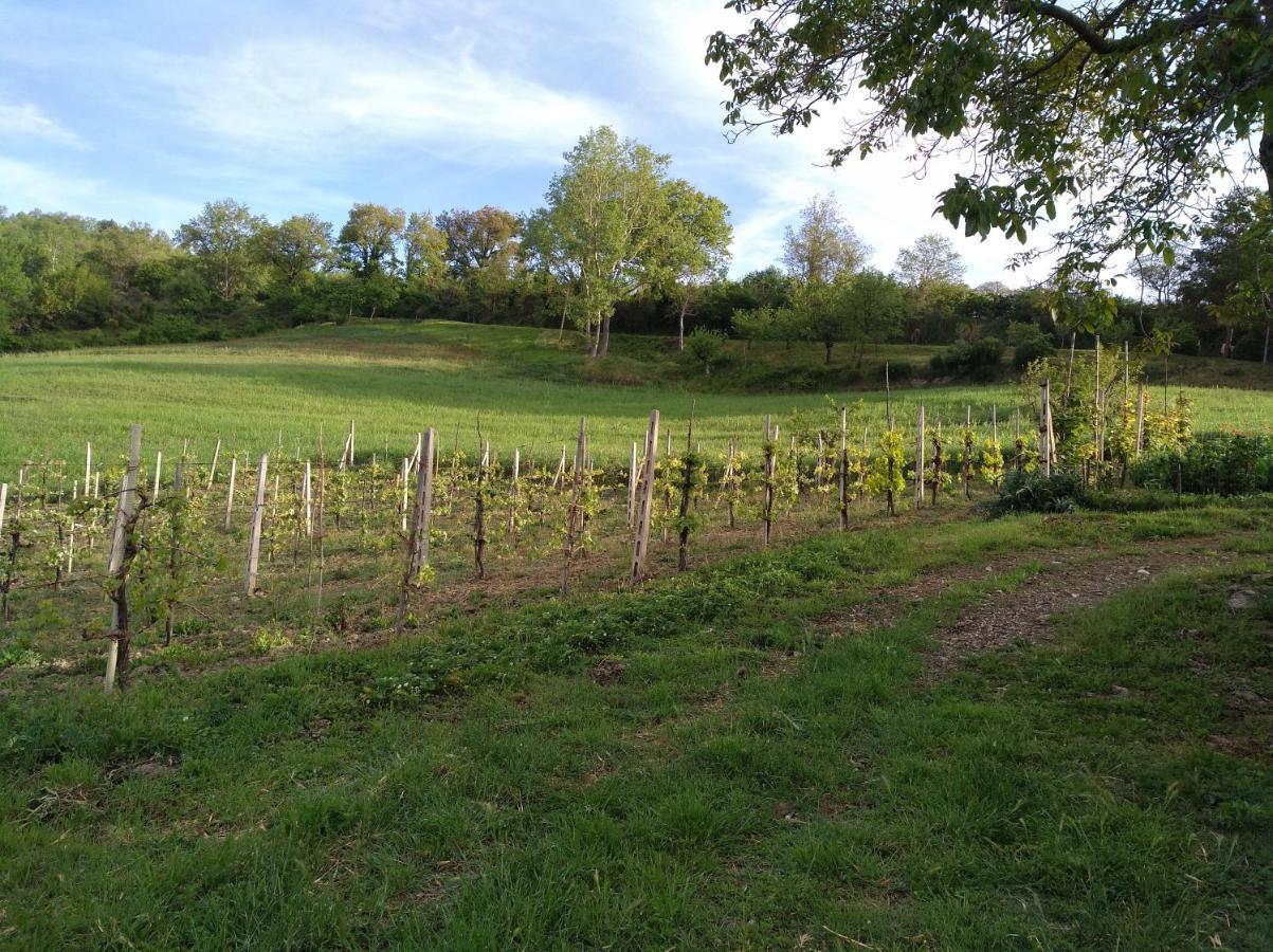Agriturismo Il Melo Valfabbrica المظهر الخارجي الصورة
